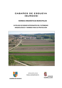 Cabañes De Esgueva (Burgos)