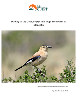 Birding in the Gobi, Steppe and High Mountains of Mongolia