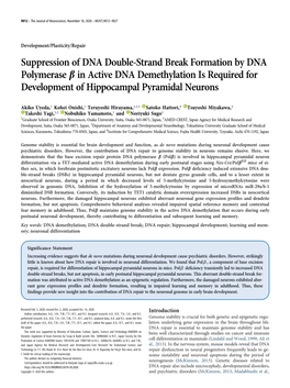 Suppression of DNA Double-Strand Break Formation by DNA Polymerase B in Active DNA Demethylation Is Required for Development of Hippocampal Pyramidal Neurons