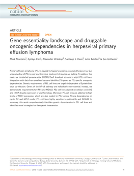 Gene Essentiality Landscape and Druggable Oncogenic Dependencies in Herpesviral Primary Effusion Lymphoma