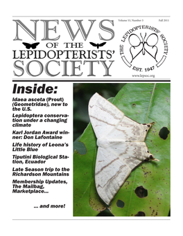 Inside: Idaea Asceta (Prout) (Geometridae), New to the U.S