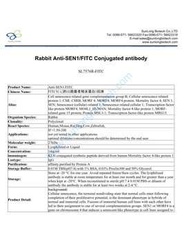 Rabbit Anti-SEN1/FITC Conjugated Antibody