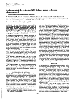 Assignment of the AK1:Np:ABO Linkage Group to Human Chromosome 9 (Somatic Cell Hybrids/Enzyme Markers/Gene Localization) A