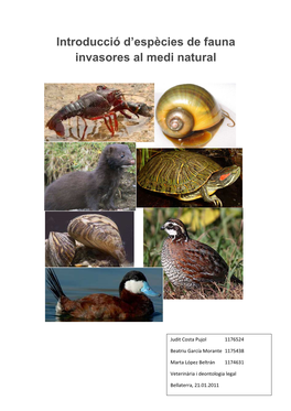 Introducció D'espècies De Fauna Invasores Al Medi Natural