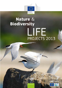 Nature & Biodiversity