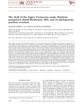 The Skull of the Upper Cretaceous Snake Dinilysia Patagonica Smith-Woodward, 1901, and Its Phylogenetic Position Revisited