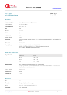 Anti-Rab11 Antibody (ARG41900)