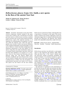 Bolboschoenus Glaucus (Lam.) S.G. Smith, a New Species in the Flora of the Ancient Near East