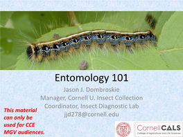 Entomology 101 Jason J