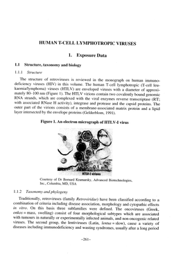 Human T-Cell Lymphotropic Virus Type II Infection (Letter to the Editor)