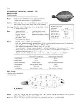 Pleuronectidae, Poecilopsettidae, Achiridae, Cynoglossidae