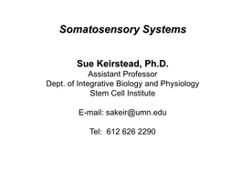 Somatosensory Systems