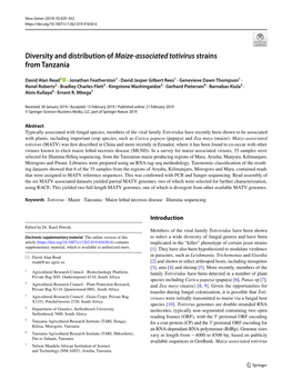 Diversity and Distribution of Maize-Associated Totivirus Strains from Tanzania