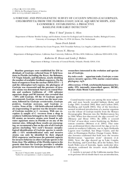 A Forensic and Phylogenetic Survey of Caulerpa Species