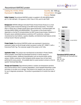 Recombinant MAP2K2 Protein