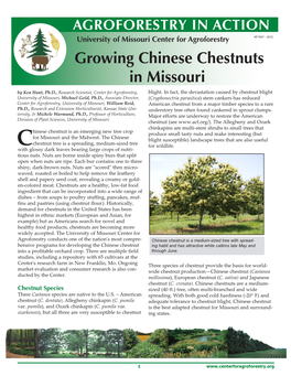 Growing Chinese Chestnuts in Missouri by Ken Hunt, Ph.D., Research Scientist, Center for Agroforestry, Blight