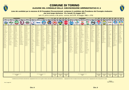 Elezione Del Consiglio Della Circoscrizione Amministrativa N