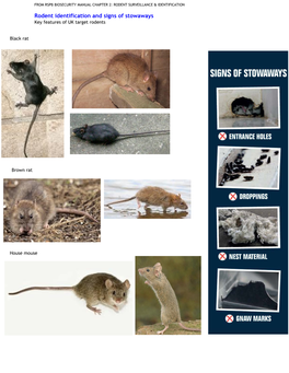 Rodent Identification and Signs of Stowaways Key Features of UK Target Rodents