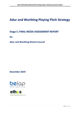 Playing Pitch Strategy Stage C Needs Assessment Report