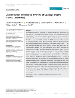 Diversification and Cryptic Diversity of Ophisops Elegans (Sauria, Lacertidae)