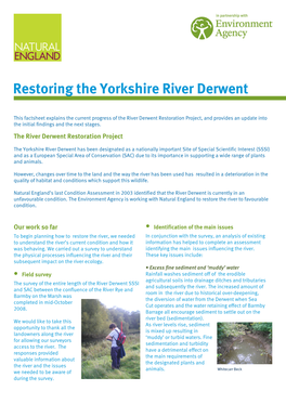 Restoring the Yorkshire River Derwent
