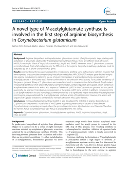 A Novel Type of N-Acetylglutamate Synthase Is Involved in the First Step
