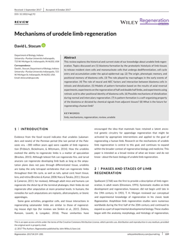 Mechanisms of Urodele Limb Regeneration