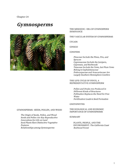 Gymnosperms the MESOZOIC: ERA of GYMNOSPERM DOMINANCE