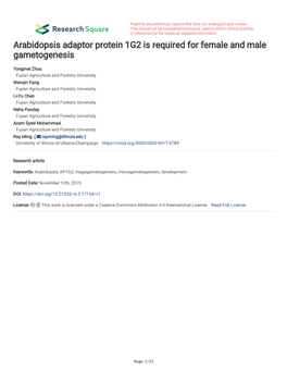 Arabidopsis Adaptor Protein 1G2 Is Required for Female and Male Gametogenesis