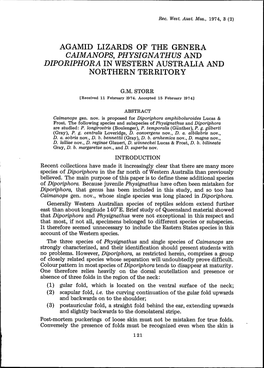 Agamid Lizards of the Genera Caimanops, Physignathus and Diporiphora in Western Australia and Northern Territory