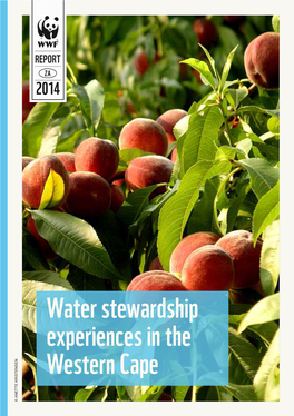 Water Stewardship Experiences in the Western Cape