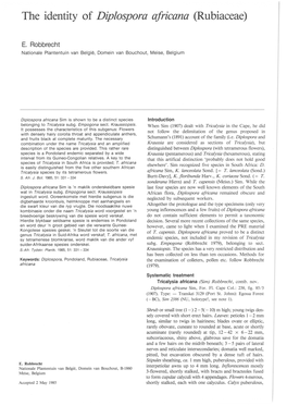 The Identity of Diplospora Africana (Rubiaceae)