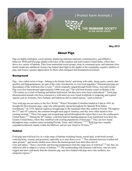 About Pigs [PDF]