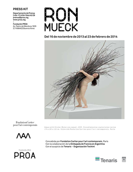 Press Kit Con Link De Descarga Fotos Ron Mueck