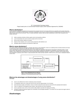 Ozonedisinfection.Pdf