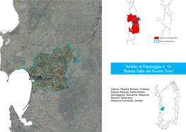 Ambito Di Paesaggio N. 14 "Bassa Valle Del Fiume Tirso"
