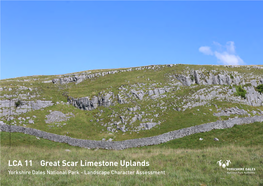 LCA 11 Great Scar Limestone Uplands