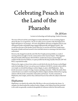 Celebrating Pesach in the Land of the Pharaohs Dr