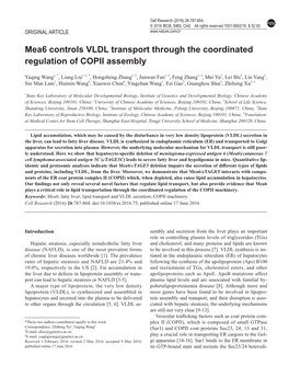 Mea6 Controls VLDL Transport Through the Coordinated Regulation of COPII Assembly