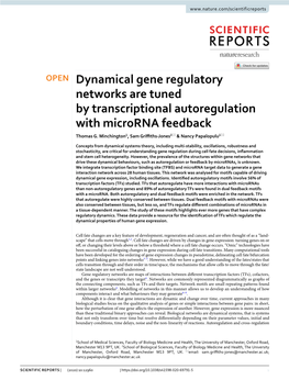Dynamical Gene Regulatory Networks Are Tuned by Transcriptional Autoregulation with Microrna Feedback Thomas G