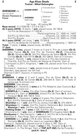 2 Aga Khan Studs 2 SHENDAM (FR)