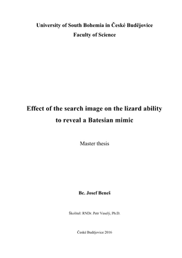 Effect of the Search Image on the Lizard Ability to Reveal a Batesian Mimic