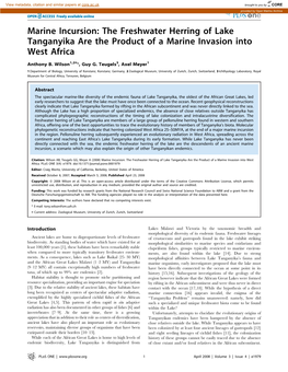 The Freshwater Herring of Lake Tanganyika Are the Product of a Marine Invasion Into West Africa