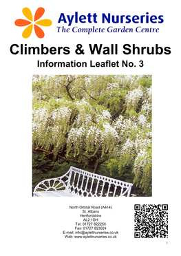 Climbers & Wall Shrubs