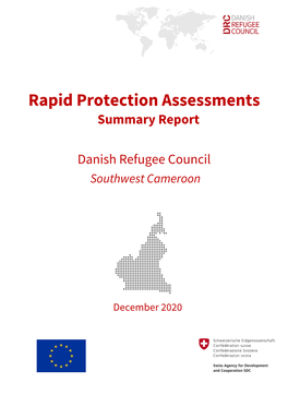 Rapid Protection Assessments Summary Report