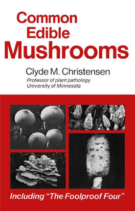 COMMON Edible Mushrooms