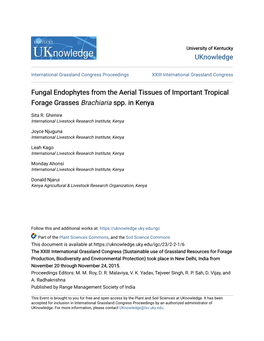 Fungal Endophytes from the Aerial Tissues of Important Tropical Forage Grasses Brachiaria Spp