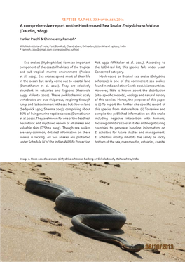 A Comprehensive Report on the Hook-Nosed Sea Snake Enhydrina Schistosa (Daudin, 1803)