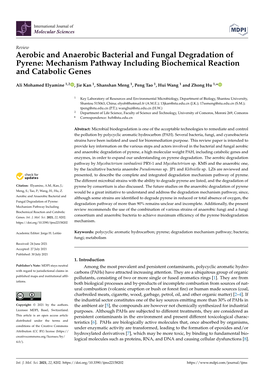 Aerobic and Anaerobic Bacterial and Fungal Degradation of Pyrene: Mechanism Pathway Including Biochemical Reaction and Catabolic Genes