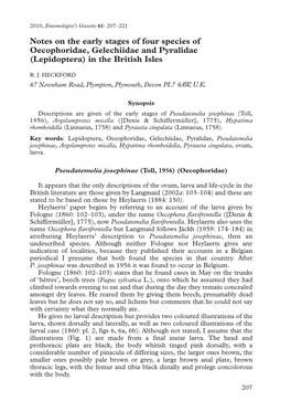 P. Josephinae, A. Micella, H. Rhomboidella
